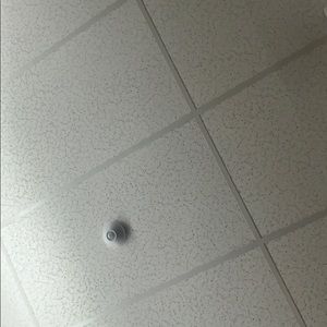 Meet your Posher, Audrey